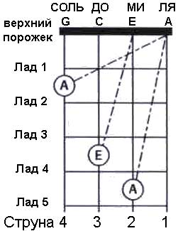 настоойка укулеле